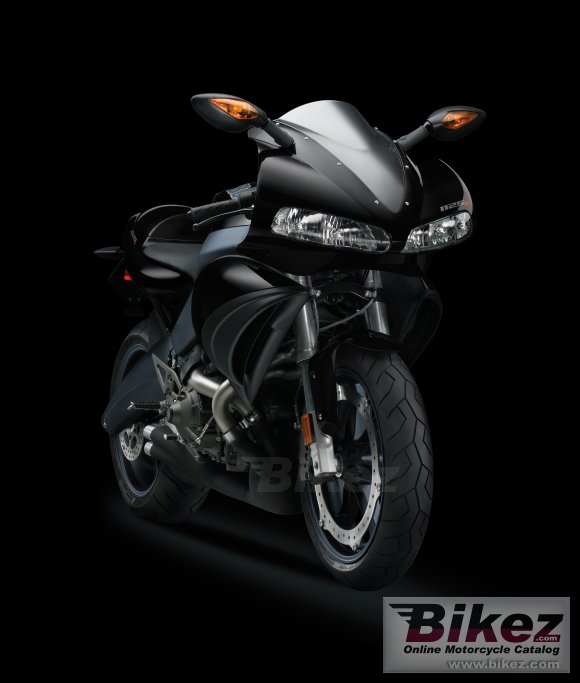 2008 buell 1125r photo